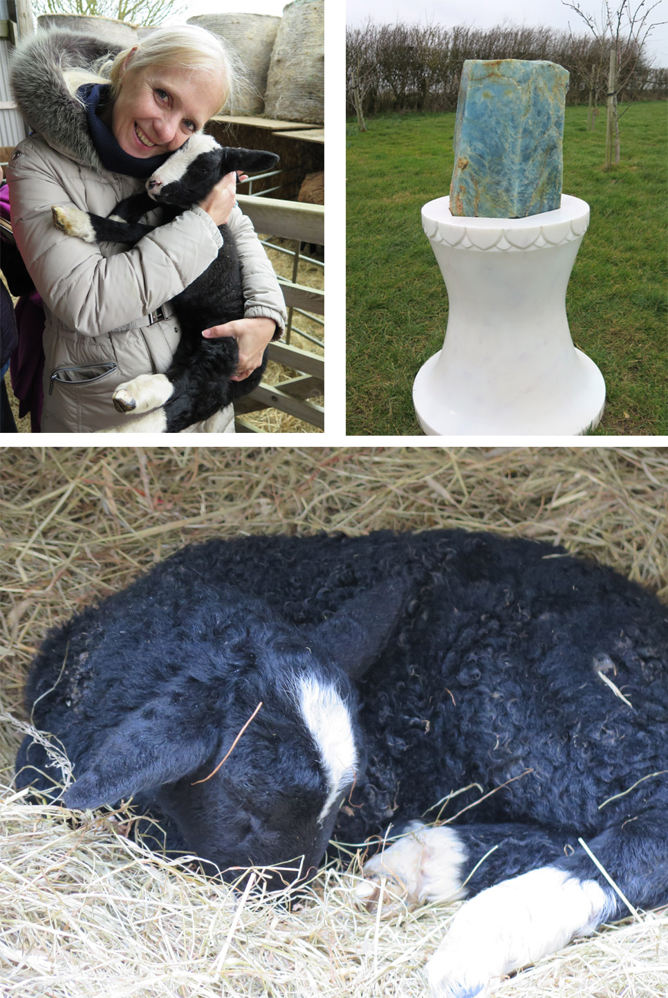 Eindrücke von der Shire Farm