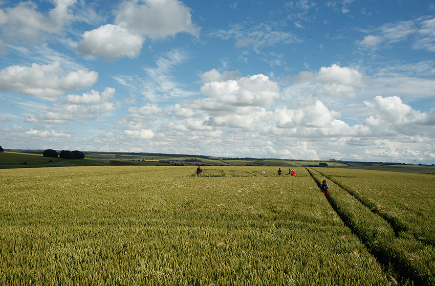 Shire Farm Pflanzen und Landschaft