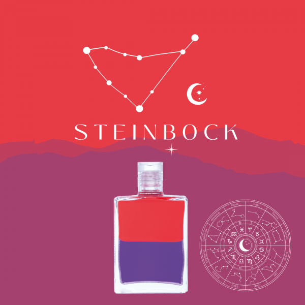 Sternzeichen Set: Steinbock